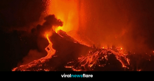 VNF Blog Header Template (16)