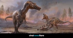 VNF Blog Header Template (18)