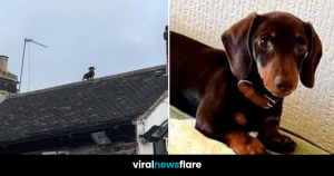 VNF Blog Header Template-5