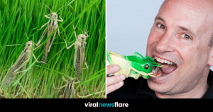 VNF Blog Header Template-9