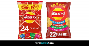 VNF Blog Header Template-10