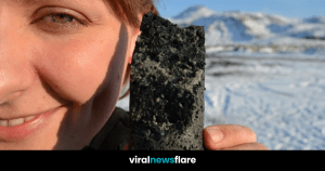 VNF Blog Header Template (34)