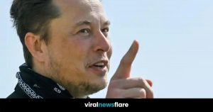 Elon Musk - Solve World Hunger