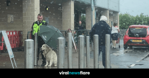 VNF Blog Header Template (4)