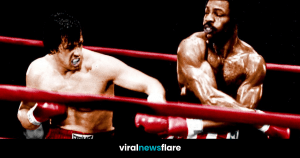 VNF Blog Header Template (12)