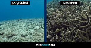 VNF Blog Header Template (18)