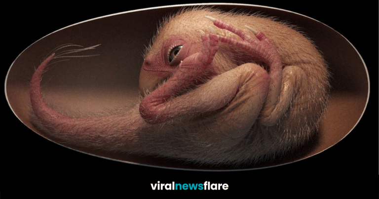 VNF Blog Header Template (27)