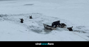 VNF Blog Header Template (29)