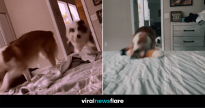 VNF Blog Header Template (30)