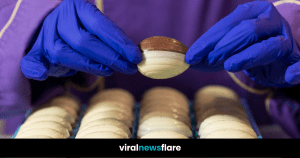 VNF Blog Header Template (31)