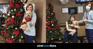 VNF Blog Header Template (37)