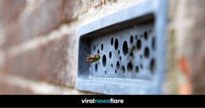 VNF Blog Header Template (48)