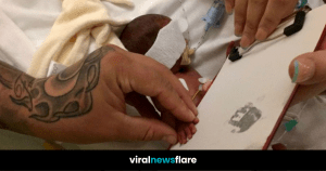 VNF Blog Header Template (51)