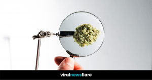 VNF Blog Header Template (53)