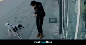 VNF Blog Header Template (55)