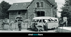 VNF Blog Header Template (57)