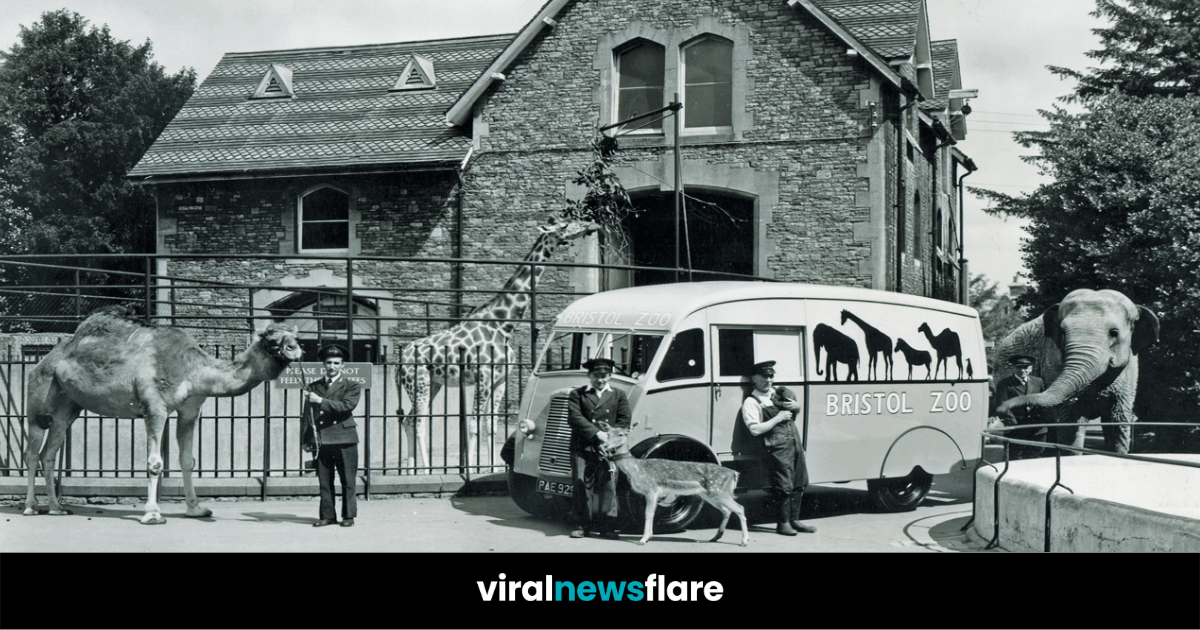 VNF Blog Header Template (57)