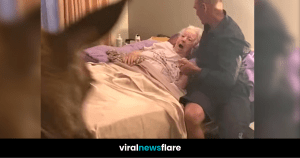 VNF Blog Header Template (58)