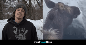 VNF Blog Header Template (64)