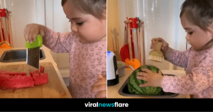 VNF Blog Header Template (73)