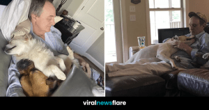 VNF Blog Header Template (79)