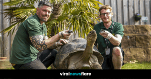 VNF Blog Header Template (10)