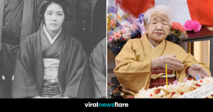 VNF Blog Header Template (19)