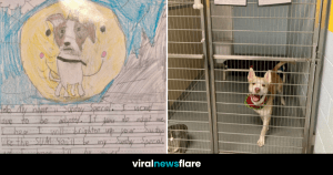 VNF Blog Header Template (85)