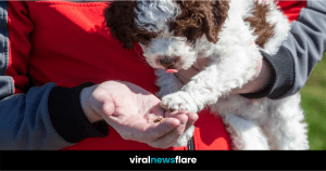 VNF Blog Header Template (88)