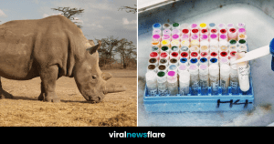 VNF Blog Header Template (26)