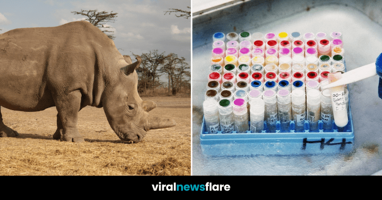 VNF Blog Header Template (26)