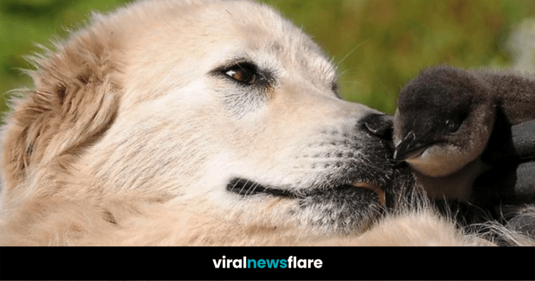 VNF Blog Header Template (89)