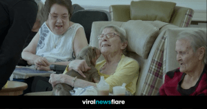 VNF Blog Header Template (27)