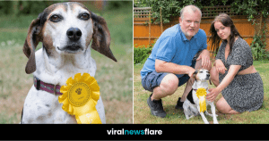 VNF Blog Header Template - 2022-07-21T094336.467