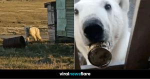 VNF Blog Header Template - 2022-07-22T131635.111