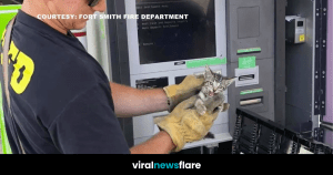 VNF Blog Header Template (36)