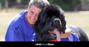 VNF Blog Header Template - 2022-08-30T113935.637