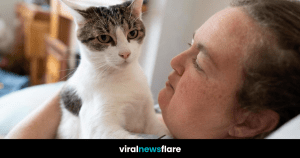 VNF Blog Header Template - 2022-08-31T152658.925