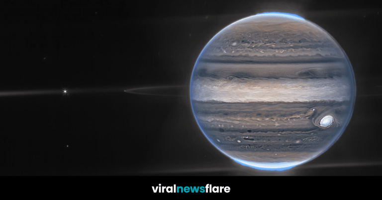 VNF Blog Header Template (55)
