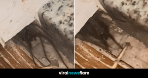 VNF Blog Header Template (57)