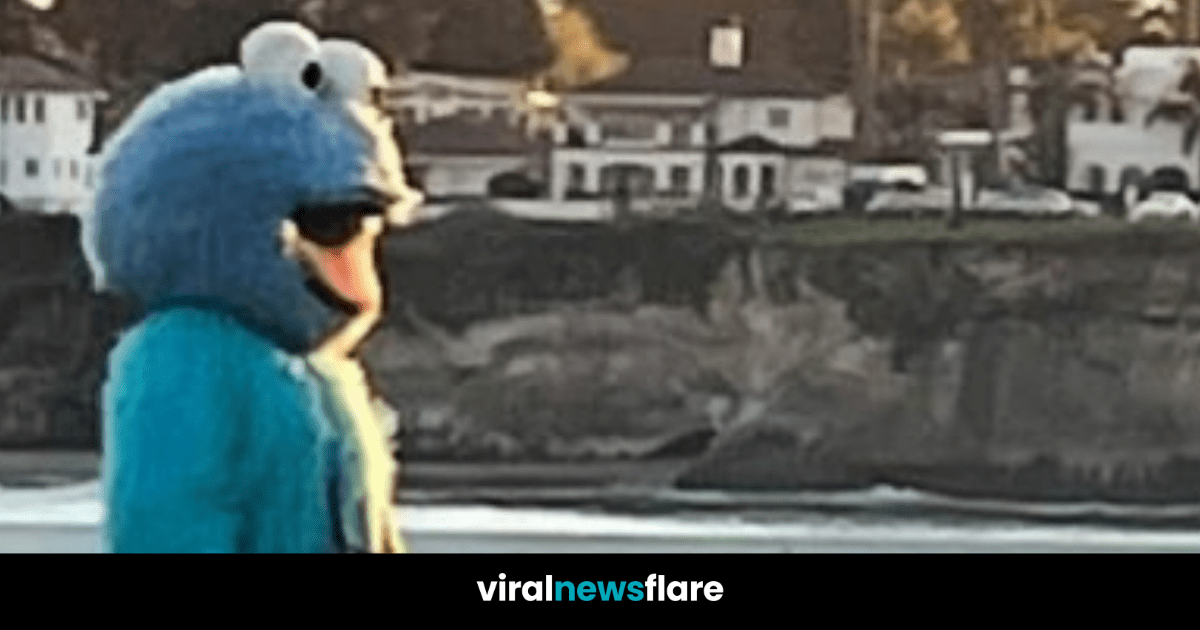 Police Warn Public to Avoid "Creepy" Man Dressed as Cookie Monster