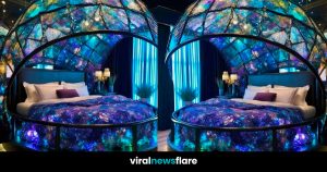A Bed Fit for the Stars