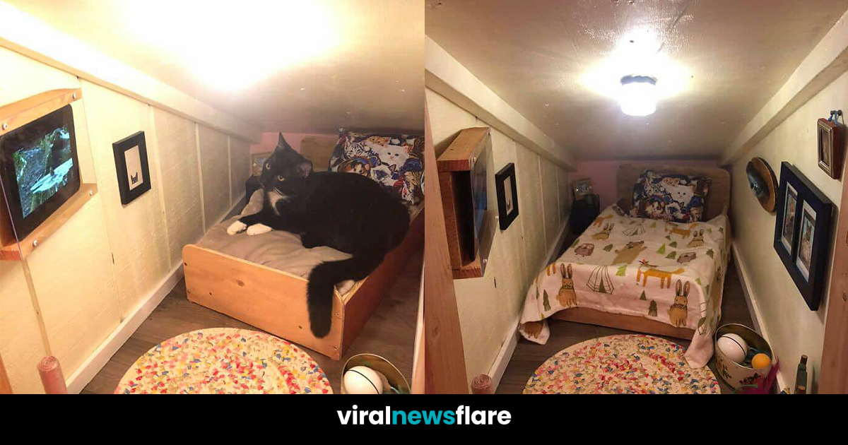 Guy Transforms Empty Space Behind Wall Into Tiny Bedroom For His Cat