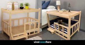 Innovative Pet Furniture