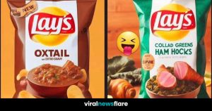 Unique Lay's Potato Chip