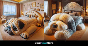 The Canine Comfort Chamber