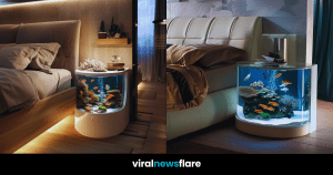 Stylish Bedroom Aquarium Collection