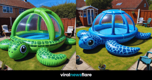 Various turtle-shaped inflatable pools in different colours set up in backyards.