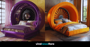 Collection of Unique Fan-Shaped Beds
