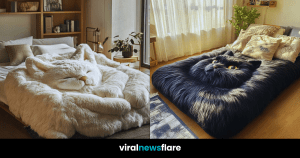 Three cat-shaped beds in white, black, and orange designs, offering cozy comfort and playful style for the bedroom.